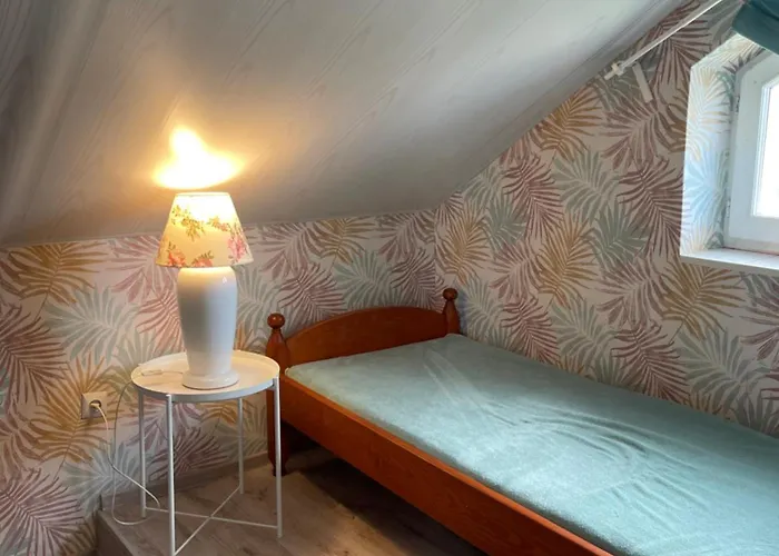 Goscinne - Mati Kopalino